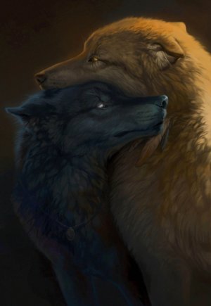 135147_original_2600x3770.jpg