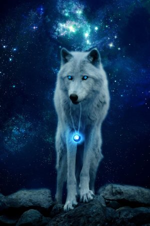 136739_original_2592x3888.jpg