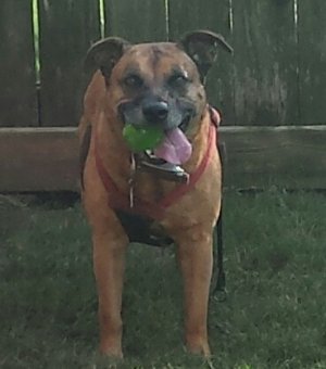 20190928_155754-1.jpg