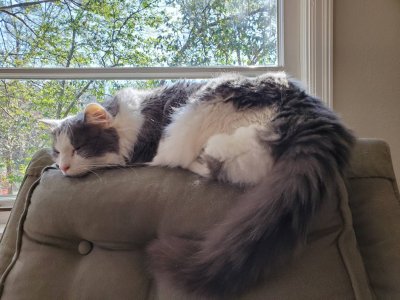 20191218_125007.jpeg
