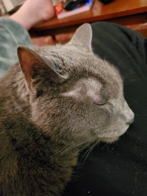 20191218_204146.jpeg