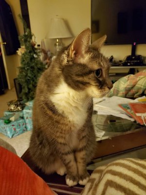 20191220_191605.jpeg
