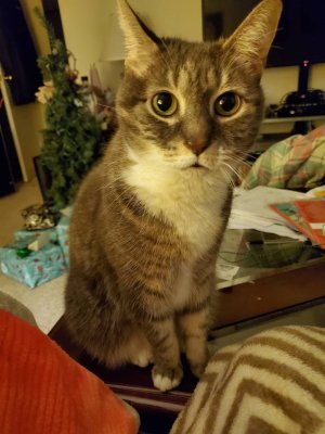 20191220_191612.jpeg