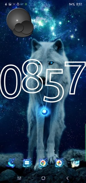 Screenshot_20191010-205754_One UI Home.jpg