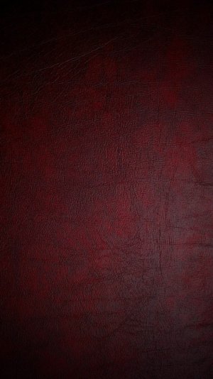 273bc03aa6d111545efe81e7d96526f9.jpg