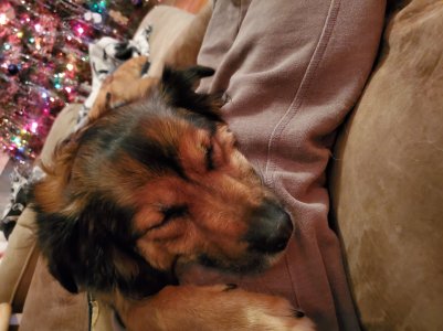 20191221_000319.jpg
