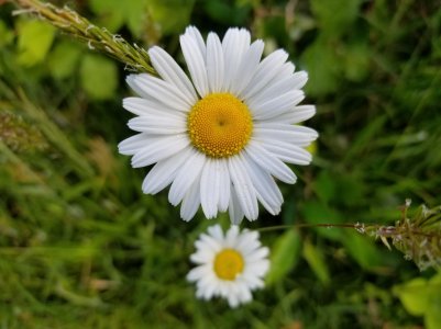 2018-06-04 07.03.59.jpg