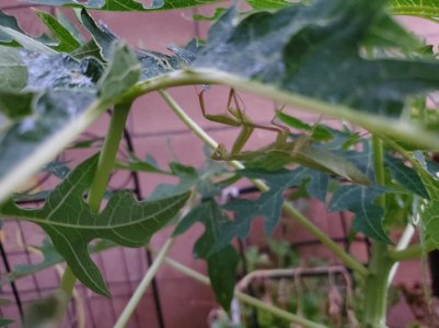 20190909_190856.jpg