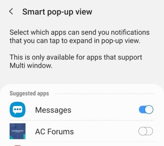 Screenshot_20190910-104121_One UI Home.jpeg