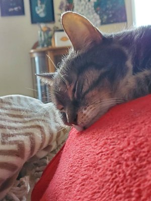 20191222_104044.jpeg
