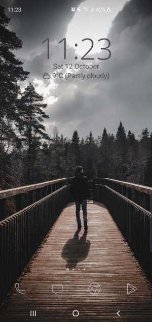 Screenshot_20191012-112301_One S10 Launcher.jpg