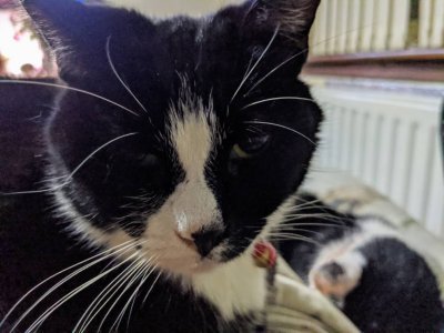 IMG_20191223_001837_MP.jpeg