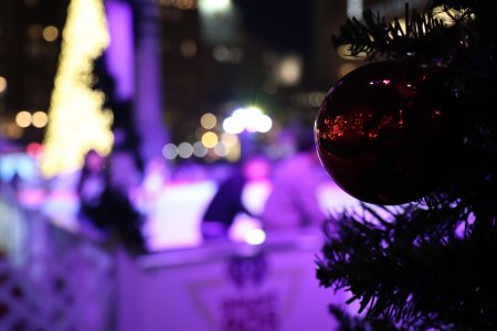 Christmas tree ornament WIDE ANGLE pic.jpg