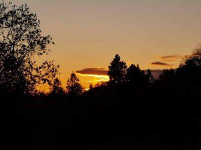 IMG_20191013_181220.jpeg