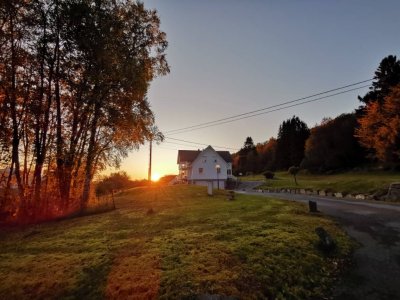 IMG_20191013_180050.jpeg
