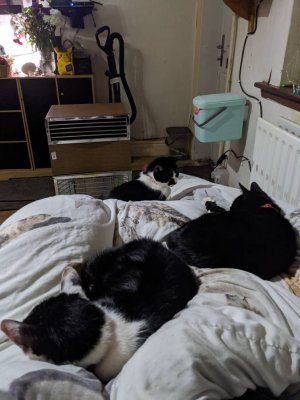 IMG_20191224_004255_MP.jpeg