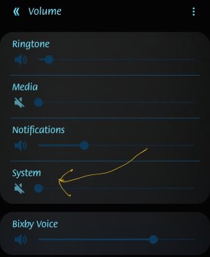 Screenshot_20190911-101956_Settings.jpg