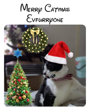 Catmas2019.jpeg