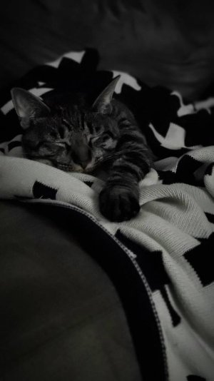 20191014_194152.jpeg