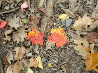 20191012_131729.jpg