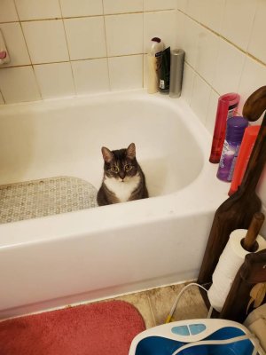 20191224_231103.jpeg