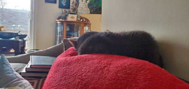 20191228_133254.jpeg
