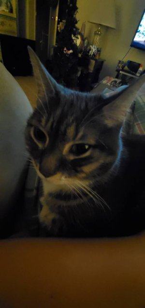 20191230_202258.jpeg