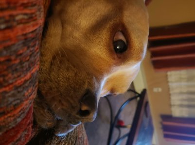 20191010_202950.jpg