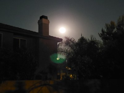 20190914_210324.jpg