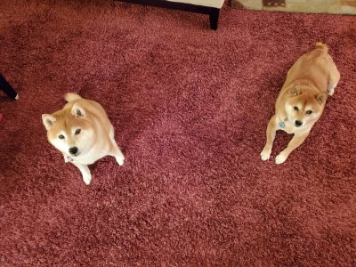 20190911_193307.jpg