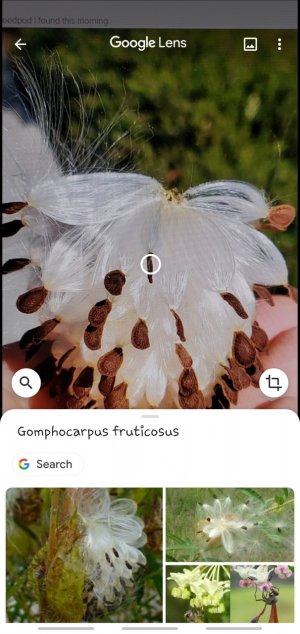 Screenshot_20190915-181525_Google.jpg