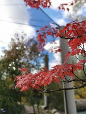 IMG_20191019_130023.jpg