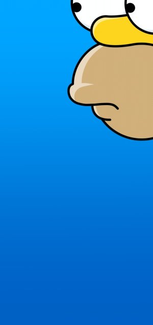 278.jpg