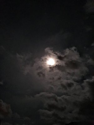 20200106_192705.jpeg