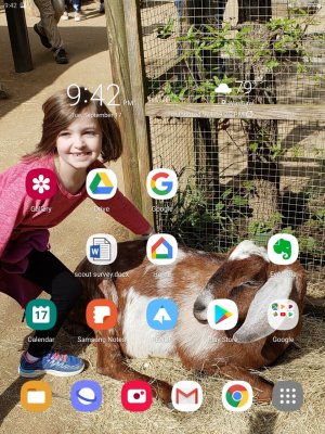 Screenshot_20190917-214301_One UI Home.jpg