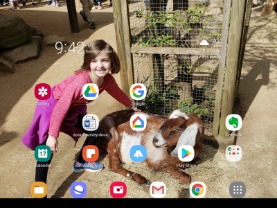 Screenshot_20190917-214237_One UI Home.jpg