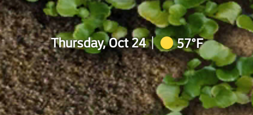 home-screen.png