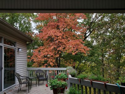 Deck straightened.jpg