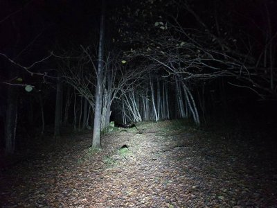 20191025_192735.jpeg
