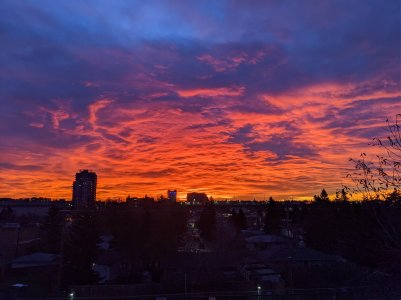 IMG_20191025_075616.jpg