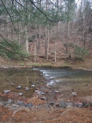IMG_20200111_161058.jpeg