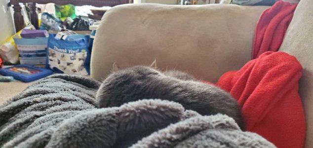 20200112_131920.jpeg