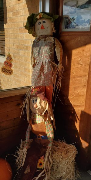 halloween decorations.jpg