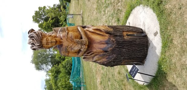 N8 20190825_134143.jpg