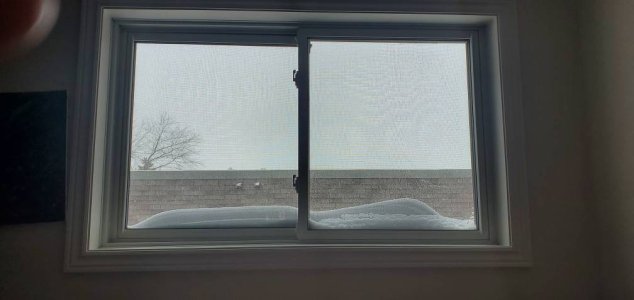 20200118_120819.jpeg