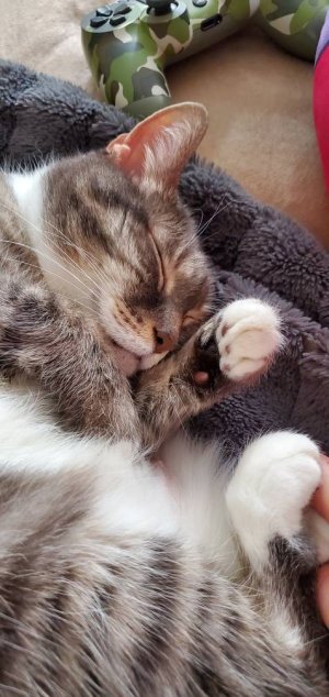 20200119_123157.jpeg
