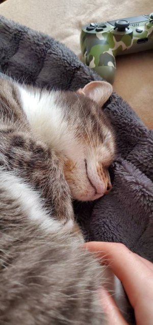 20200119_122308.jpeg
