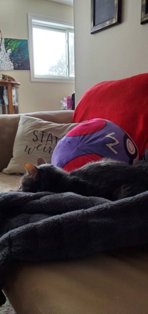 20200119_122212.jpeg