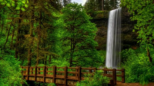 http___www.wallpaperbetter.com_wallpaper_128_847_730_waterfall-in-green-forest-1080P-wallpaper.jpg