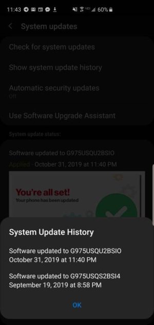 Screenshot_20191031-234313_System%20updates%20UI.jpeg